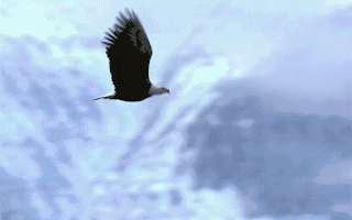 【企业动态】汉桑科技新增1件行政处罚被罚款3000元